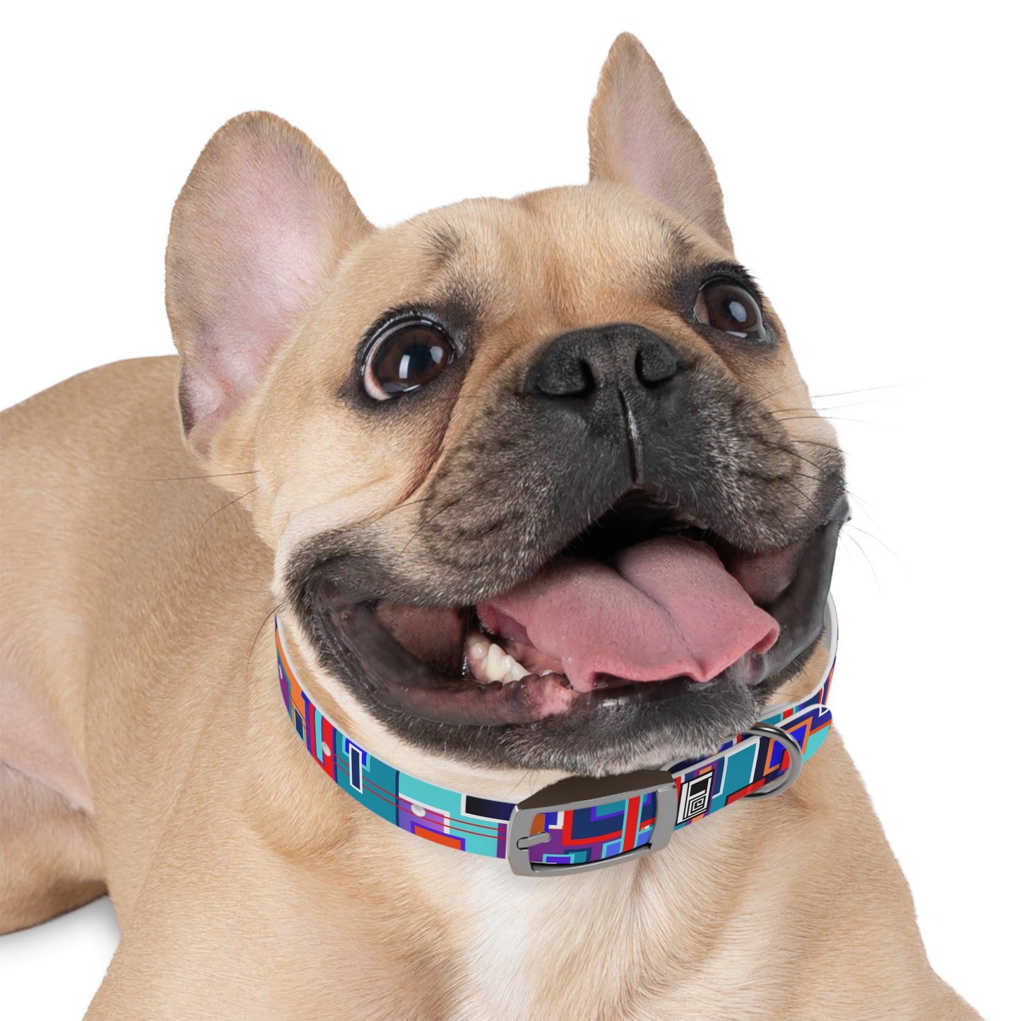 Dog Collar - No. 233 E