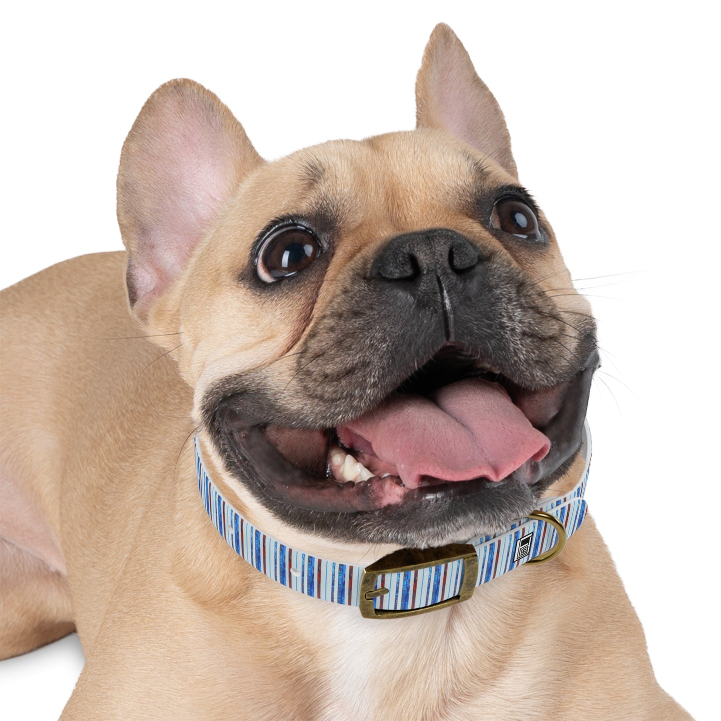 Dog Collar - No.140