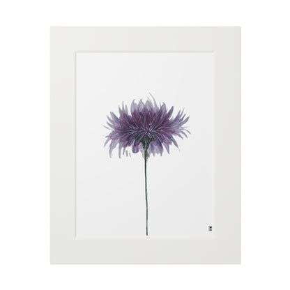 Fine Art Print (Cardboard Frame) - No. 268 - Purple Flower