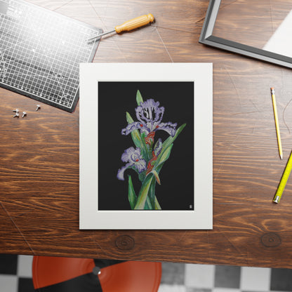 Fine Art Print (Cardboard Frame) - No. 272 - Purple Orchid