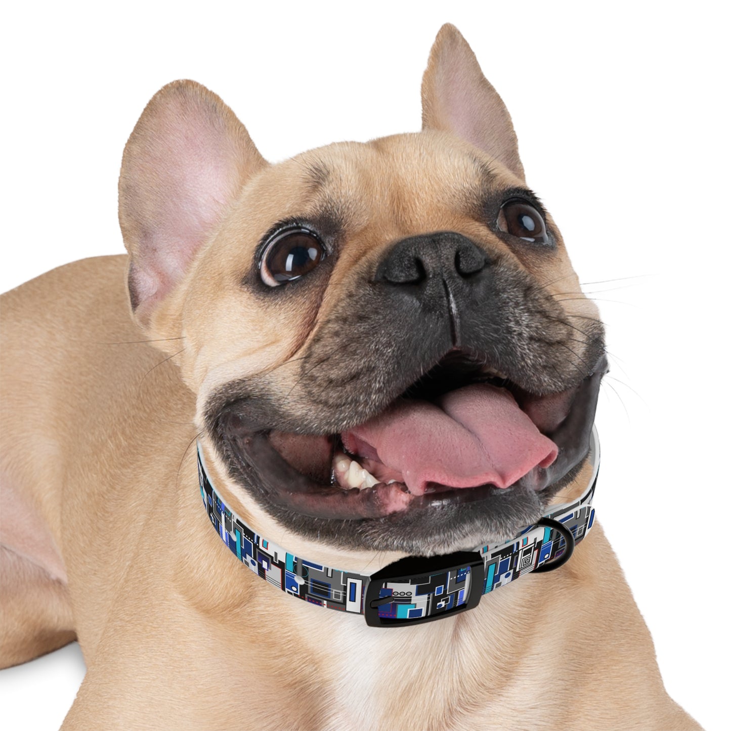 Dog Collar - No. 235 A - Squared 2