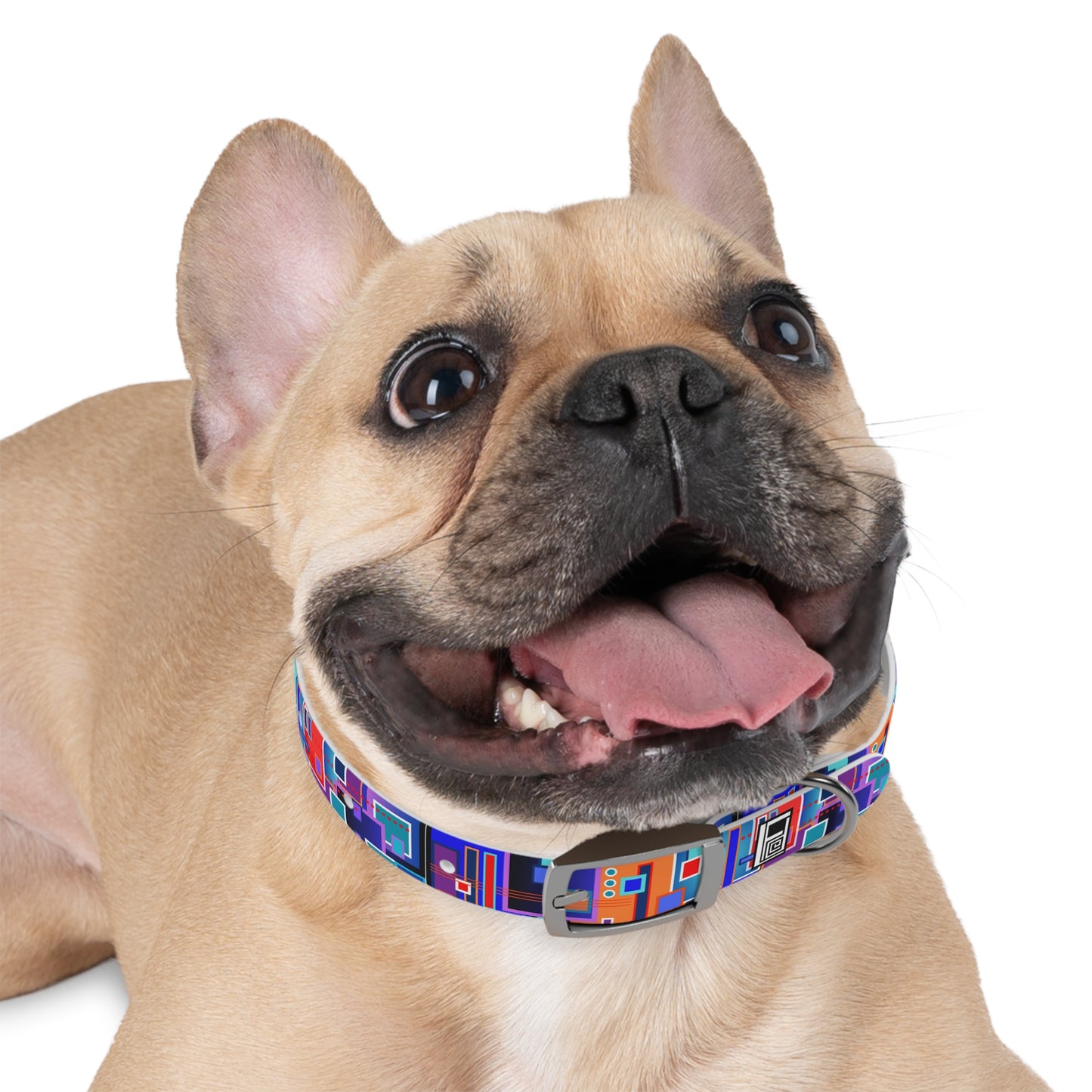 Dog Collar - No. 233 C