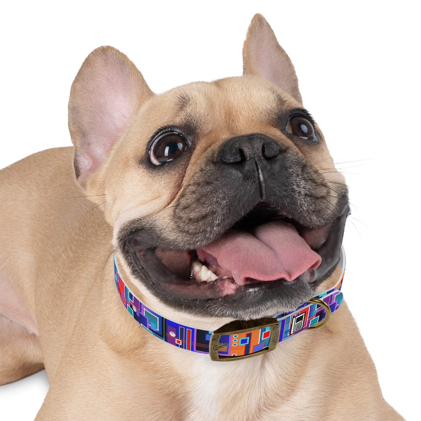 Dog Collar - No. 233 C