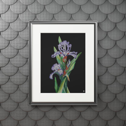 Fine Art Print (Cardboard Frame) - No. 272 - Purple Orchid