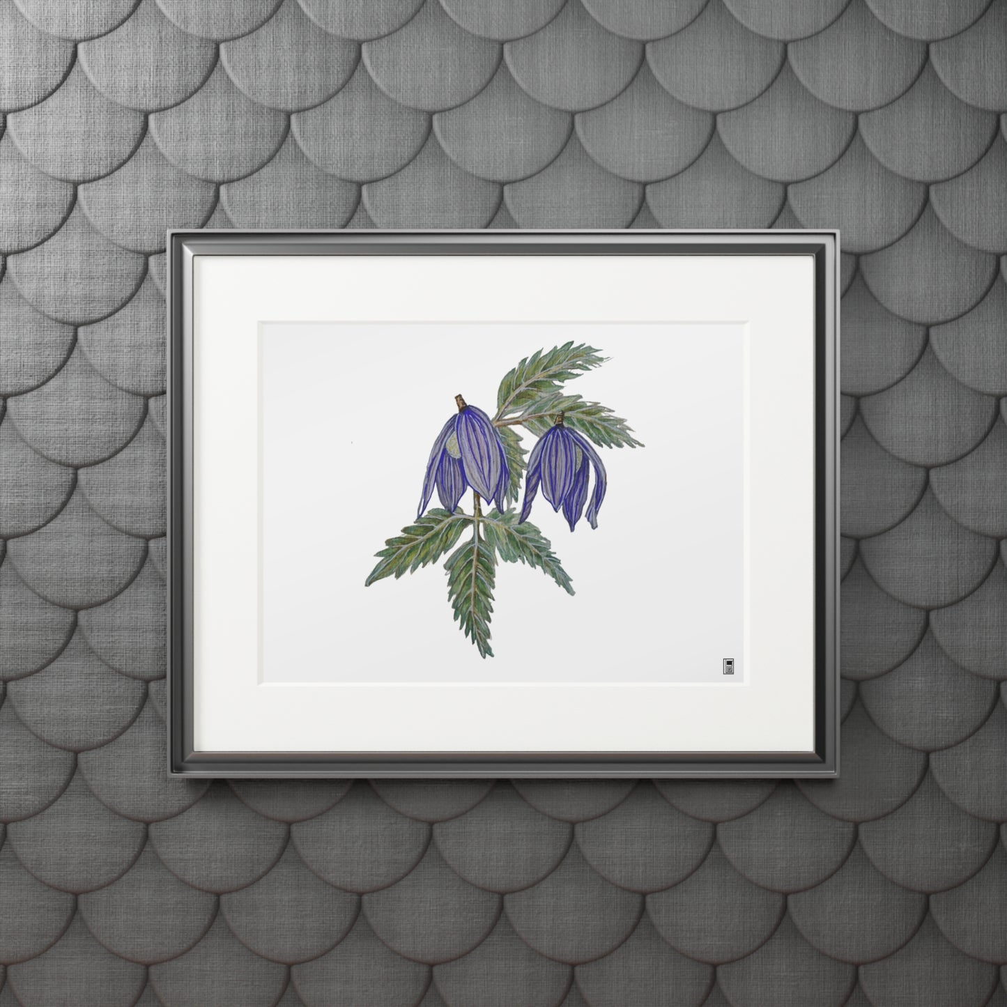 Fine Art Print (Cardboard Frame) - No. 270 - two purple flowers W