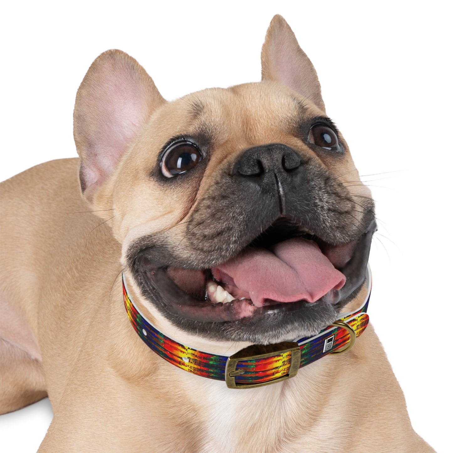 Dog Collar - No. 138