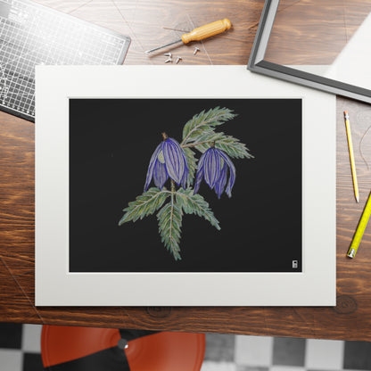 Fine Art Print (Cardboard Frame) - No. 270 - Two purple flowers B