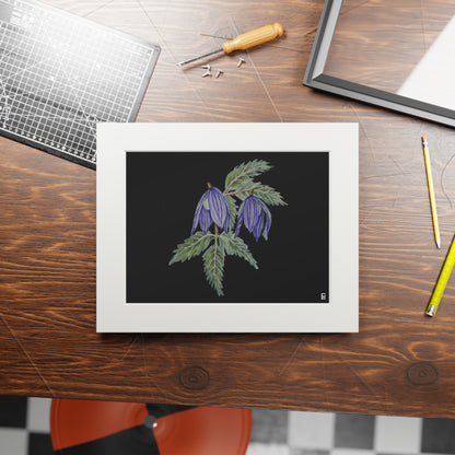Fine Art Print (Cardboard Frame) - No. 270 - Two purple flowers B