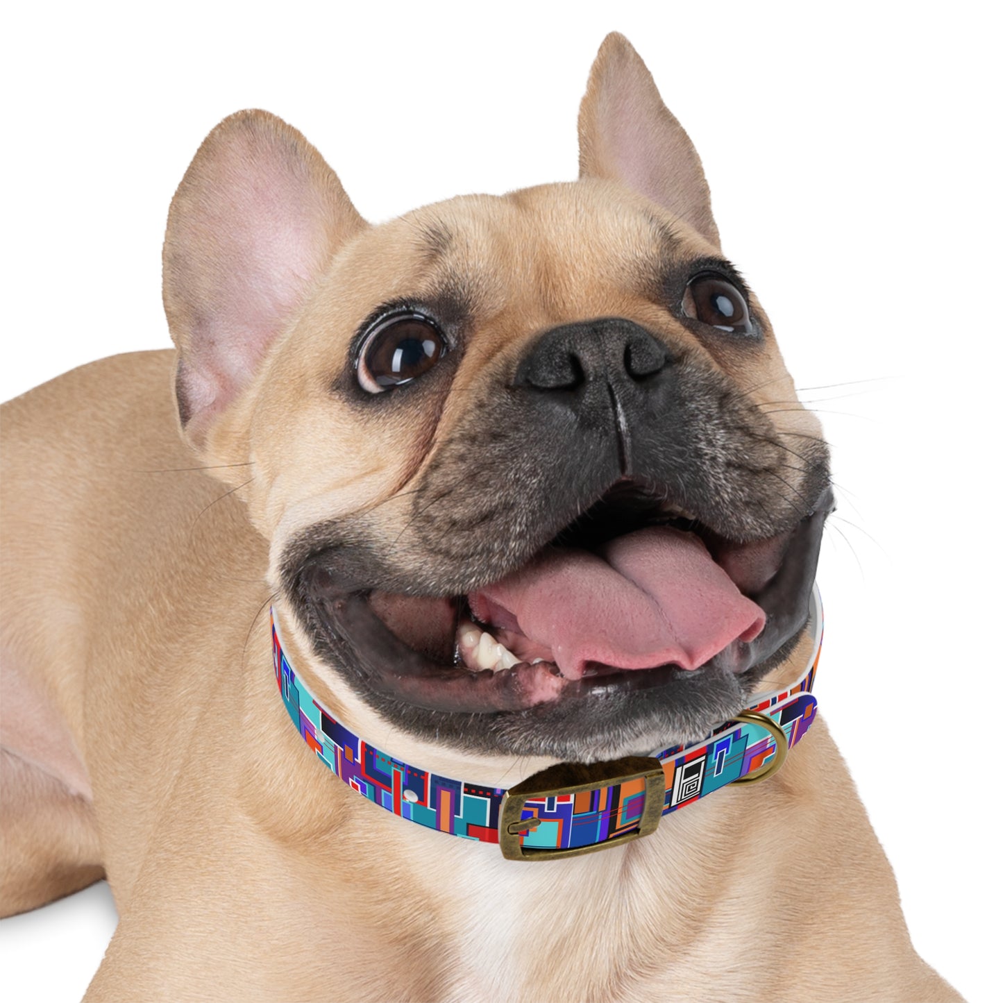 Dog Collar - No. 233 B