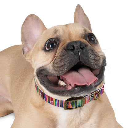 Dog Collar - No. 237 - Pods B