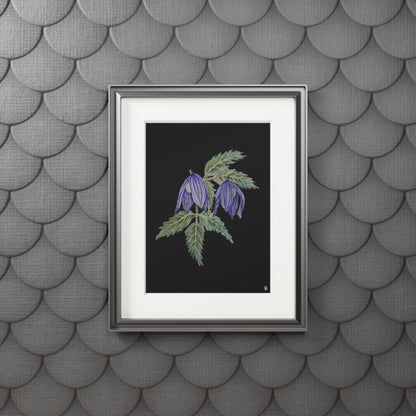 Fine Art Print (Cardboard Frame) - No. 270 - Two purple flowers B