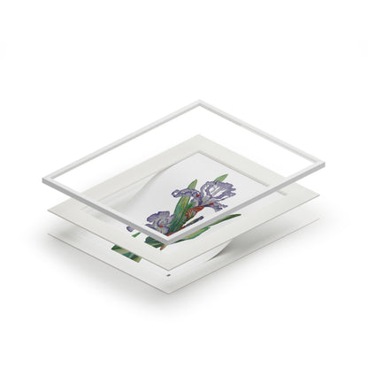 Fine Art Print (Cardboard Frame) - No. 272 - Purple Orchid W