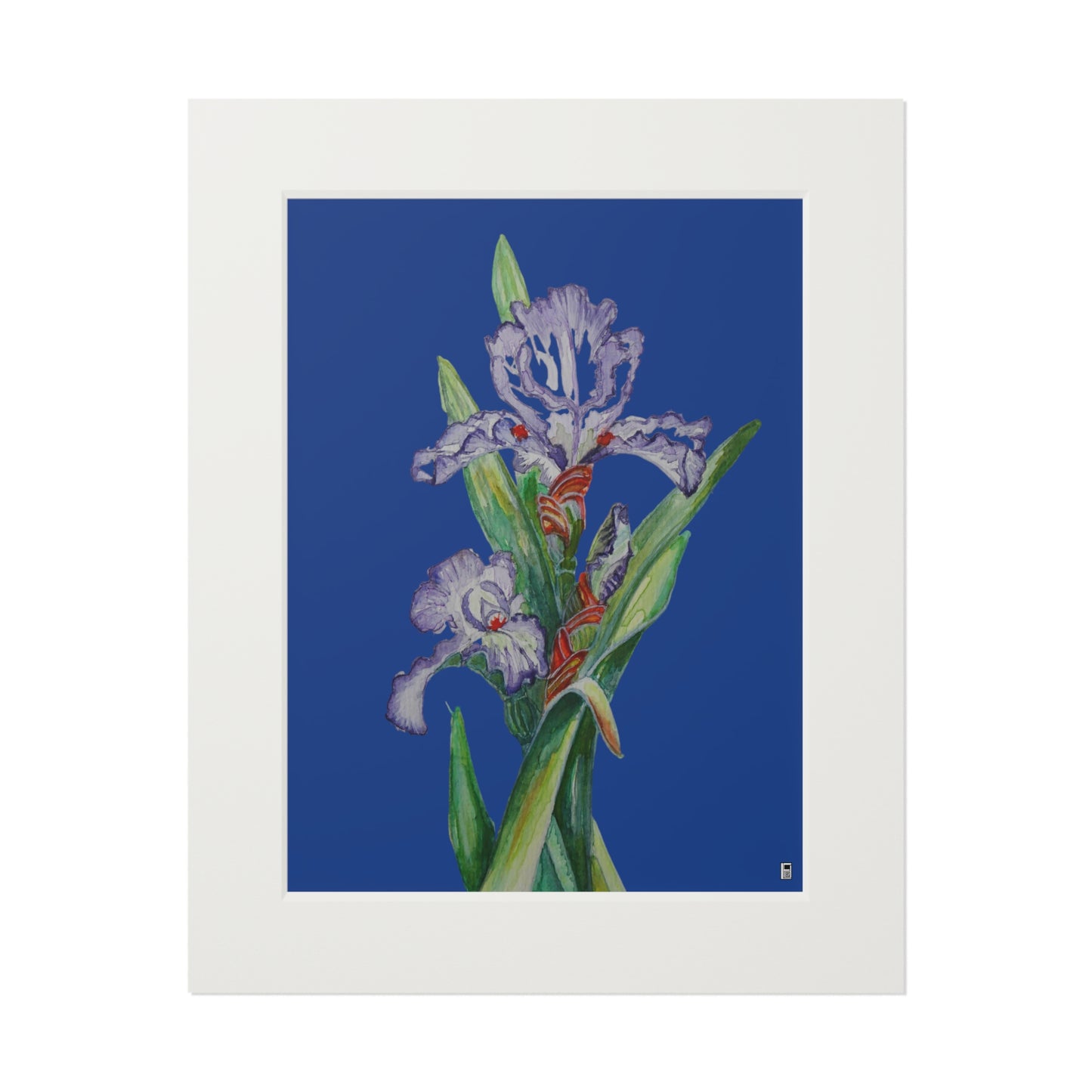 Fine Art Print (Cardboard Frame) - No. 272 - Purple Orchid N