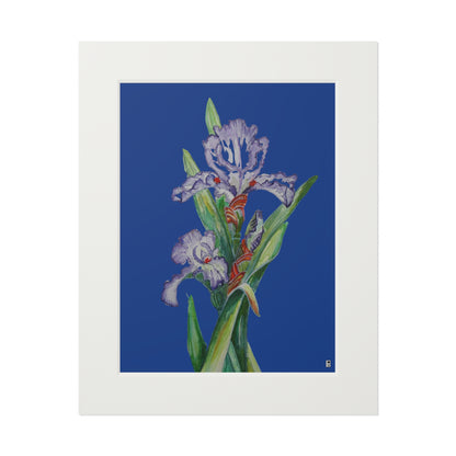 Fine Art Print (Cardboard Frame) - No. 272 - Purple Orchid N