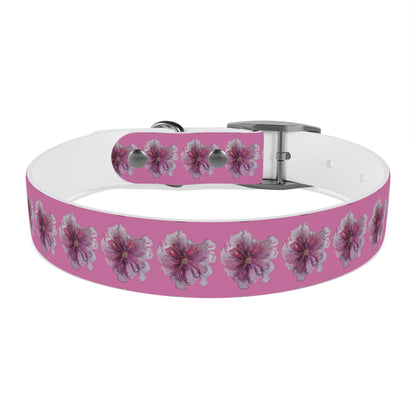 Dog Collar - No. 269