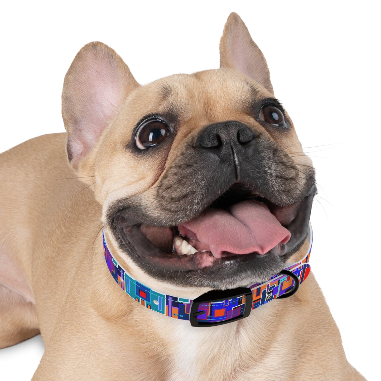 Dog Collar - No. 233 D