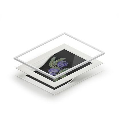 Fine Art Print (Cardboard Frame) - No. 270 - Two purple flowers B