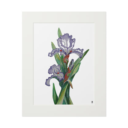 Fine Art Print (Cardboard Frame) - No. 272 - Purple Orchid W