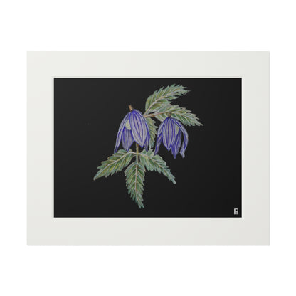 Fine Art Print (Cardboard Frame) - No. 270 - Two purple flowers B