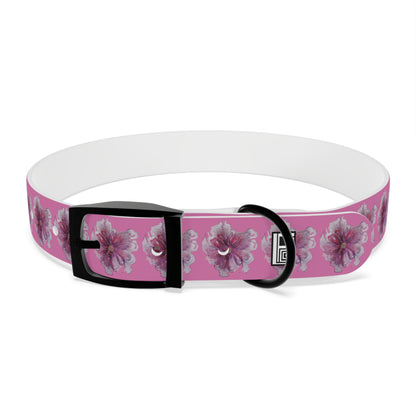 Dog Collar - No. 269