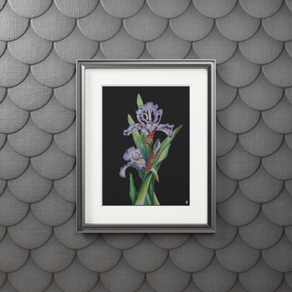 Fine Art Print (Cardboard Frame) - No. 272 - Purple Orchid