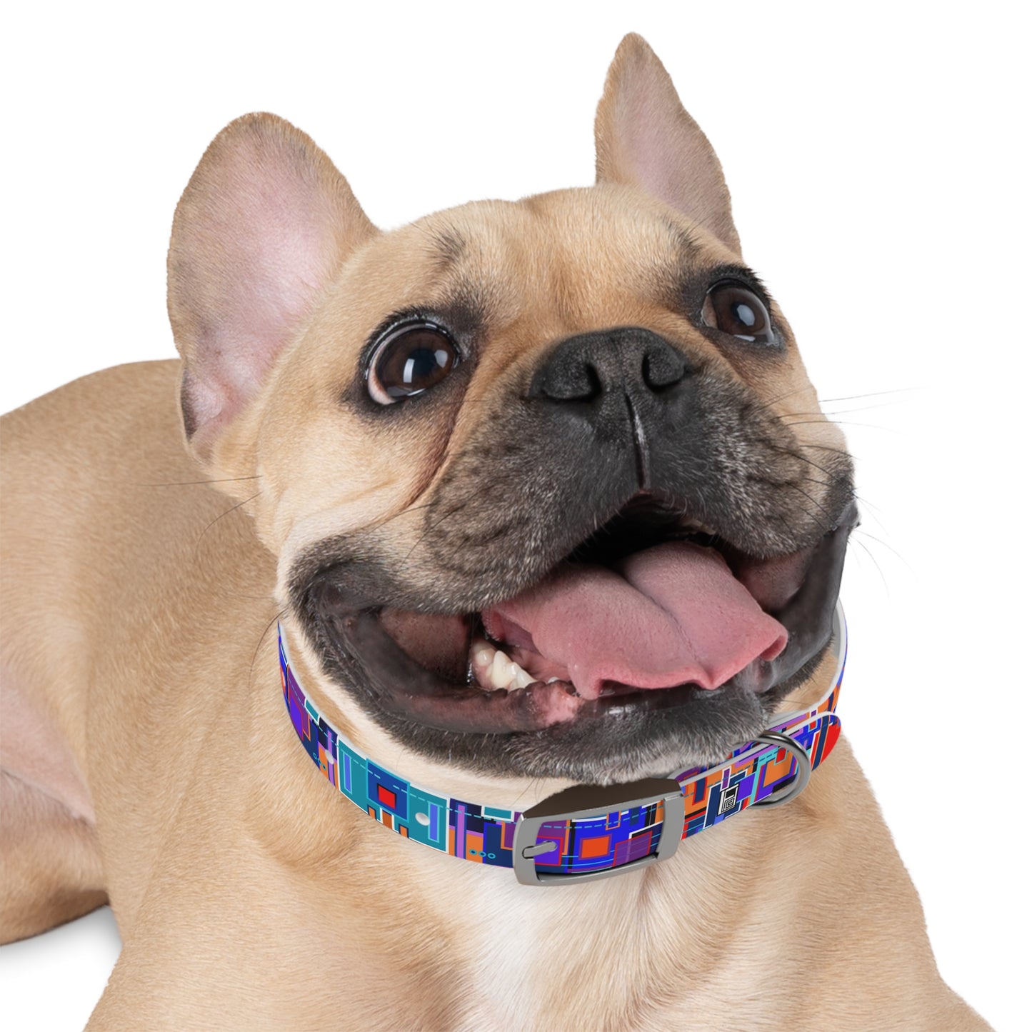 Dog Collar - No. 233 D