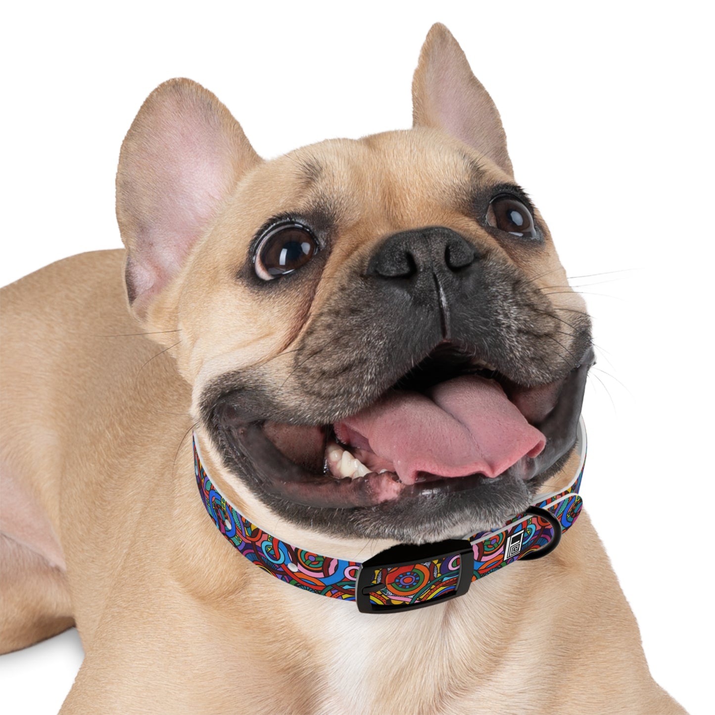 Dog Collar - No. 221 - Interlinked A