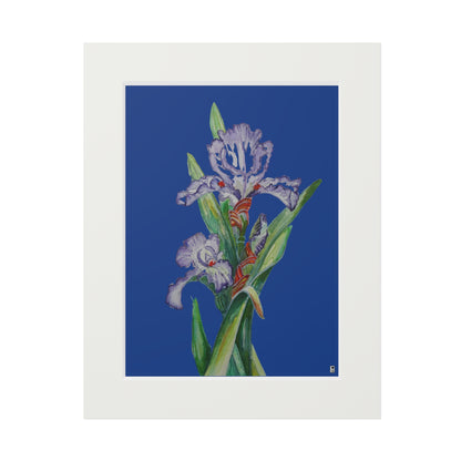 Fine Art Print (Cardboard Frame) - No. 272 - Purple Orchid N