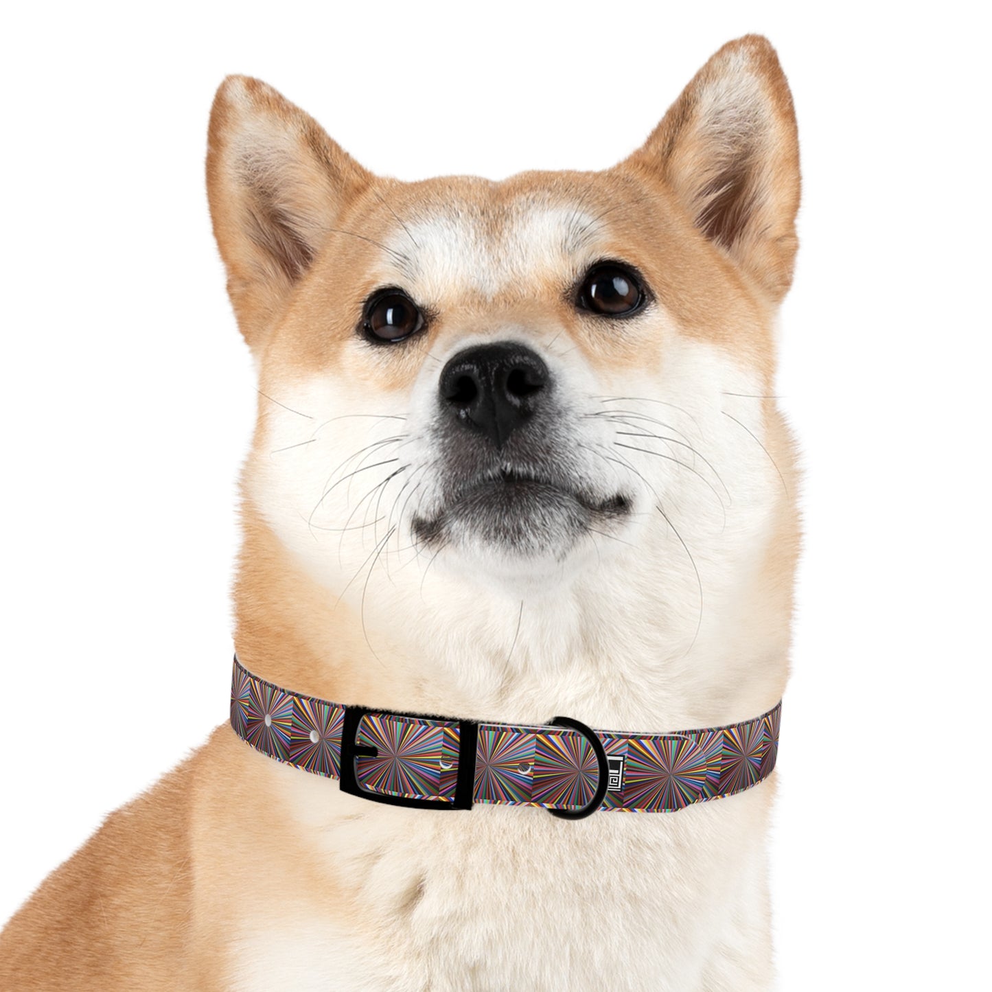 Dog Collar - No. 205