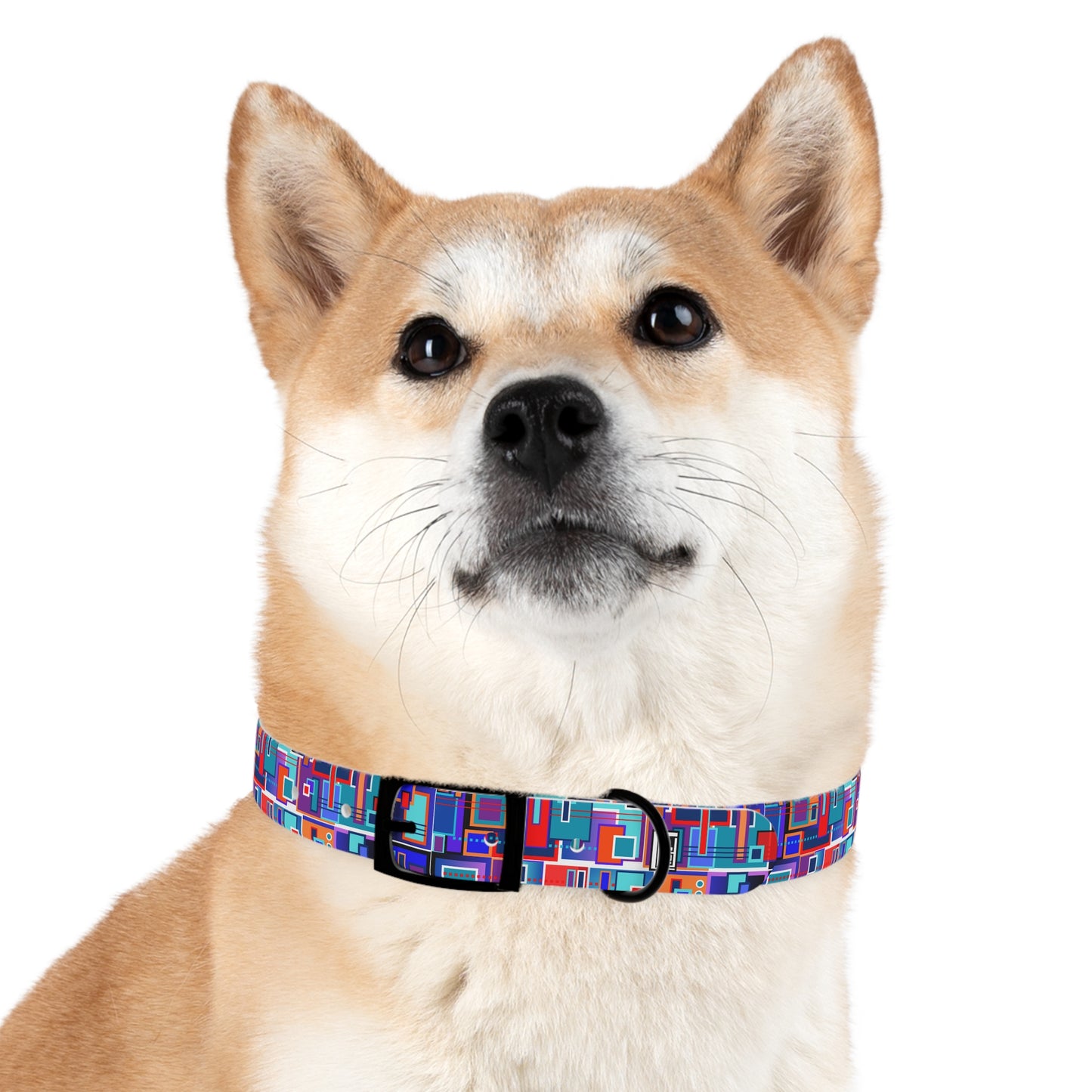 Dog Collar - No. 233 A - Squared 1