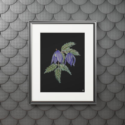 Fine Art Print (Cardboard Frame) - No. 270 - Two purple flowers B
