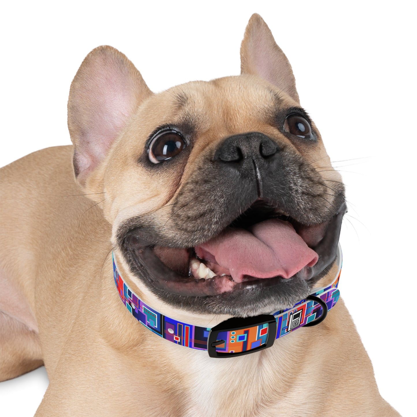 Dog Collar - No. 233 C