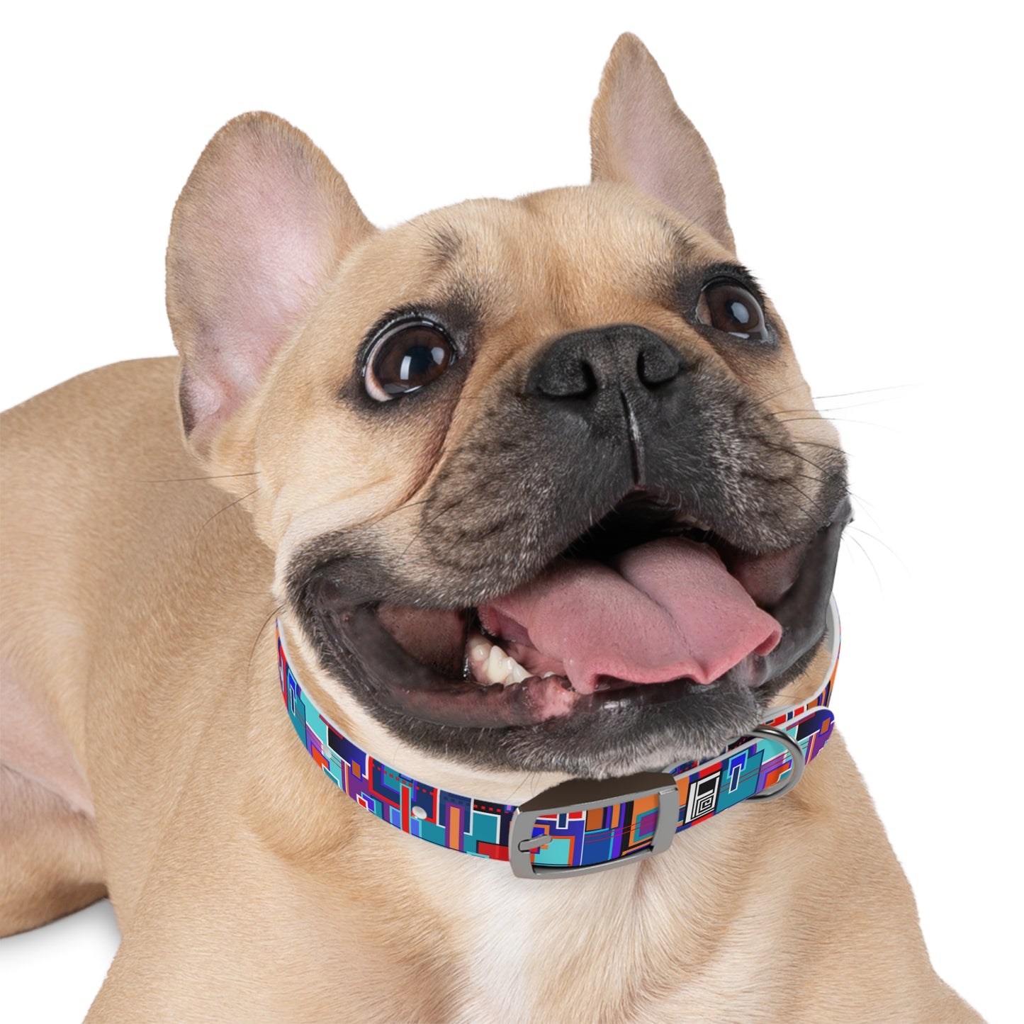 Dog Collar - No. 233 B