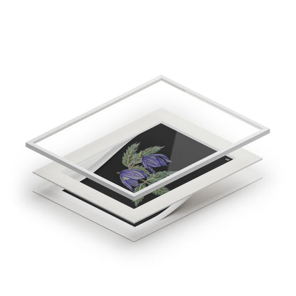 Fine Art Print (Cardboard Frame) - No. 270 - Two purple flowers B