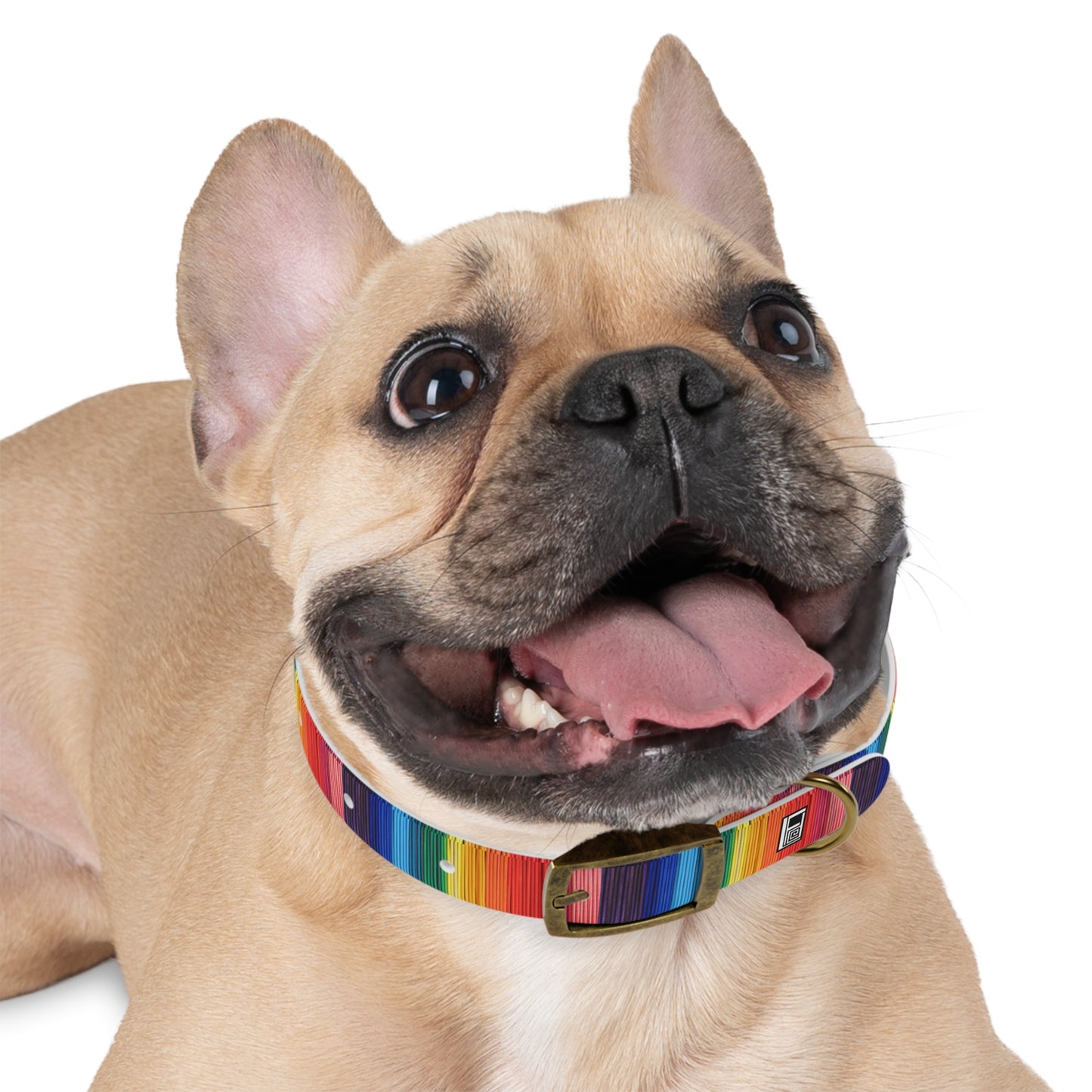 Dog Collar - No. 305