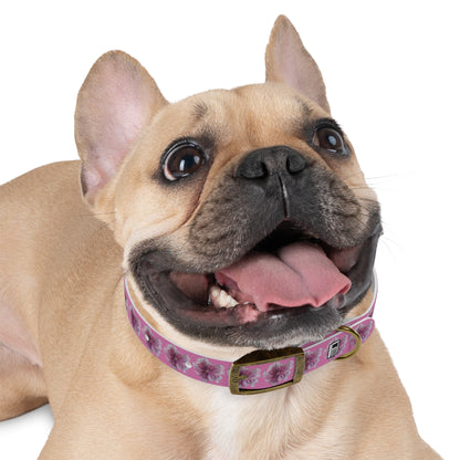 Dog Collar - No. 269