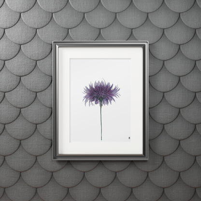 Fine Art Print (Cardboard Frame) - No. 268 - Purple Flower