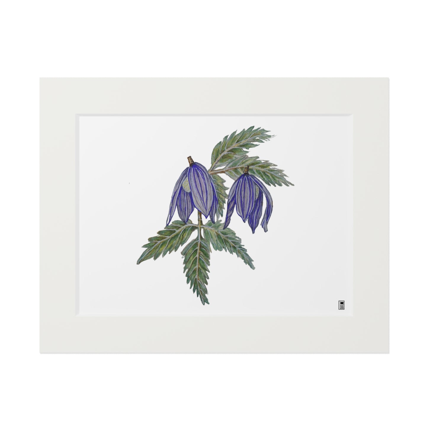 Fine Art Print (Cardboard Frame) - No. 270 - two purple flowers W