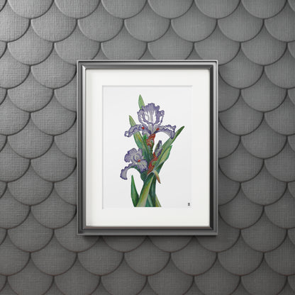 Fine Art Print (Cardboard Frame) - No. 272 - Purple Orchid W