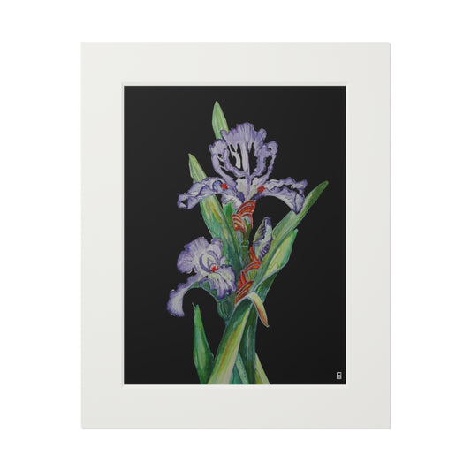 Fine Art Print (Cardboard Frame) - No. 272 - Purple Orchid