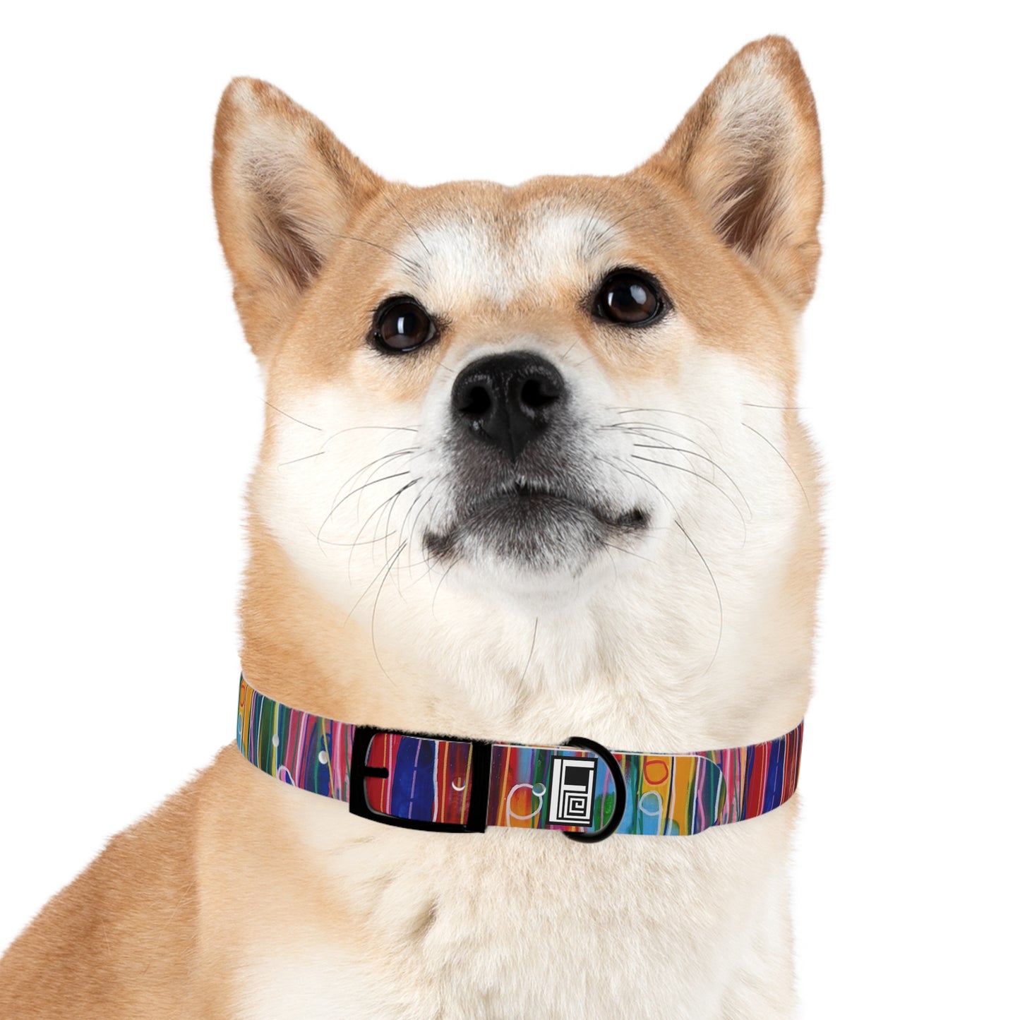 Dog Collar - No. 237 - Pods B