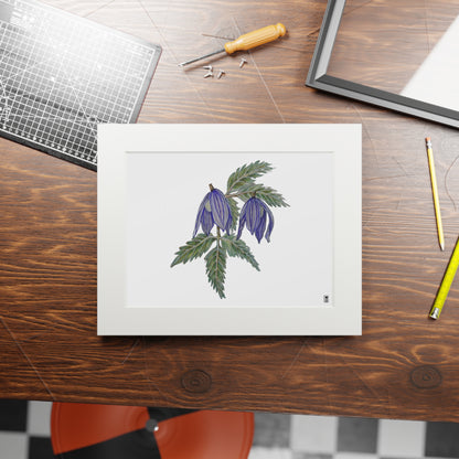 Fine Art Print (Cardboard Frame) - No. 270 - two purple flowers W