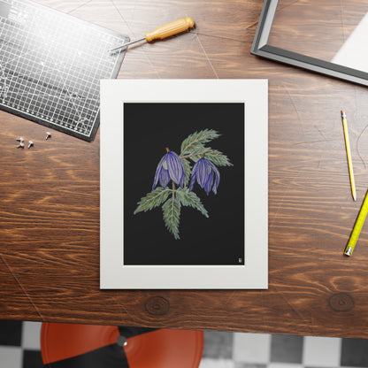 Fine Art Print (Cardboard Frame) - No. 270 - Two purple flowers B