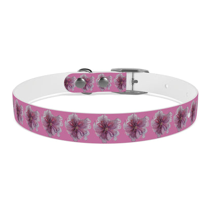 Dog Collar - No. 269