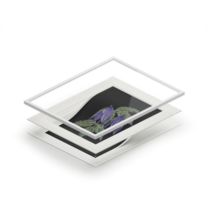 Fine Art Print (Cardboard Frame) - No. 270 - Two purple flowers B