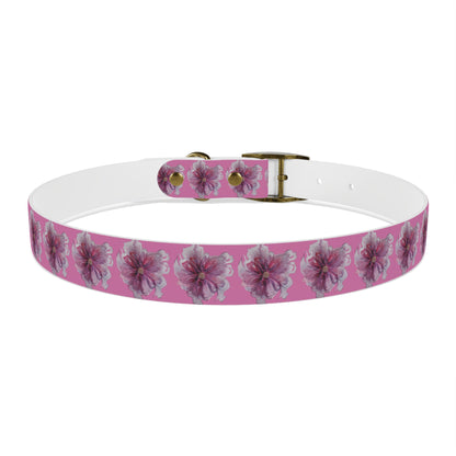 Dog Collar - No. 269