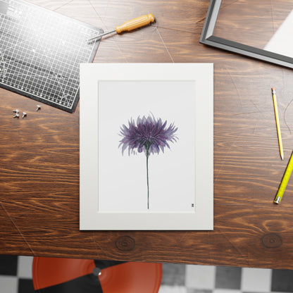 Fine Art Print (Cardboard Frame) - No. 268 - Purple Flower