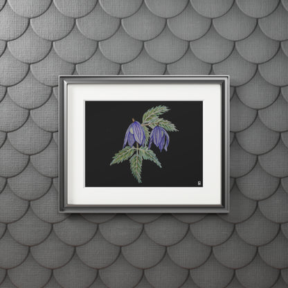 Fine Art Print (Cardboard Frame) - No. 270 - Two purple flowers B