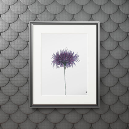 Fine Art Print (Cardboard Frame) - No. 268 - Purple Flower