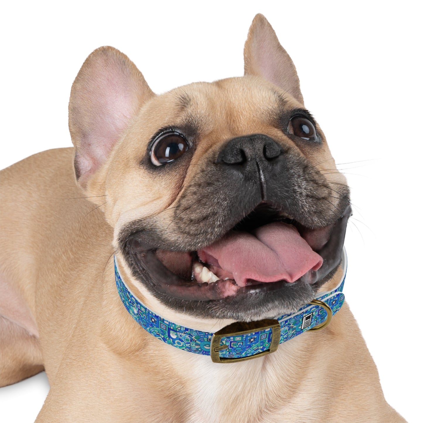 Dog Collar - No. 262